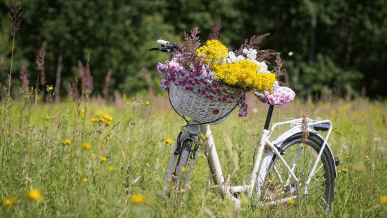 E-Bikes für alle Mitarbeiter bei Natururne.de