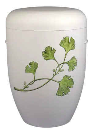Ginkgo Ranke