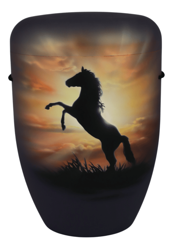 01 110 30 b Steigendes Pferd im Sonnenuntergang 129E 1