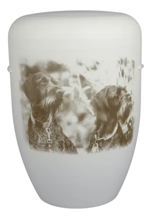 Hundeportrait