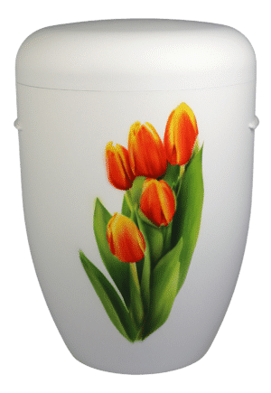 Tulpen