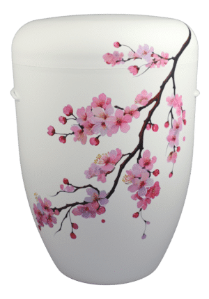 Kirschblütenzweig