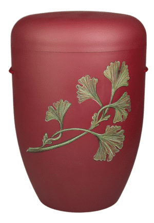 Ginkgo Ranke