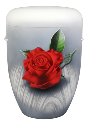 Rose, rot-grün
